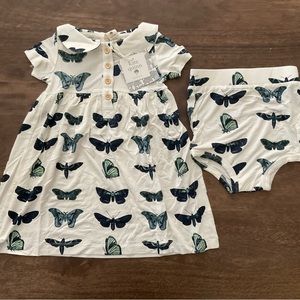 Kate Quinn White and Green Butterfly Dress Set